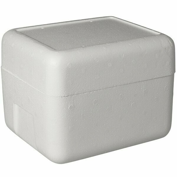 Plastilite Insulated Foam Cooler 11 3/8'' x 8 3/4'' x 8'' - 1 1/2'' Thick 451SL810PLT